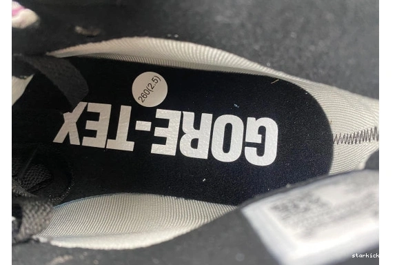Berry  DB2889-500 1 Jordan DB2889-500 High  Element Gore-Tex 0510